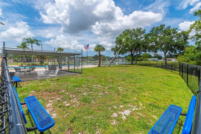 Dog park | Image 28