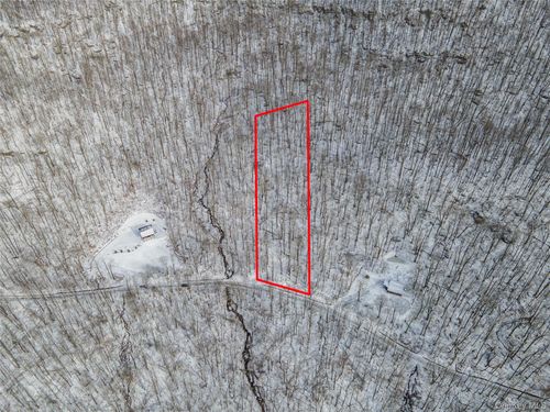 499 Cross Mountain Rd, Livingston Manor, NY, 12758-6009 | Card Image