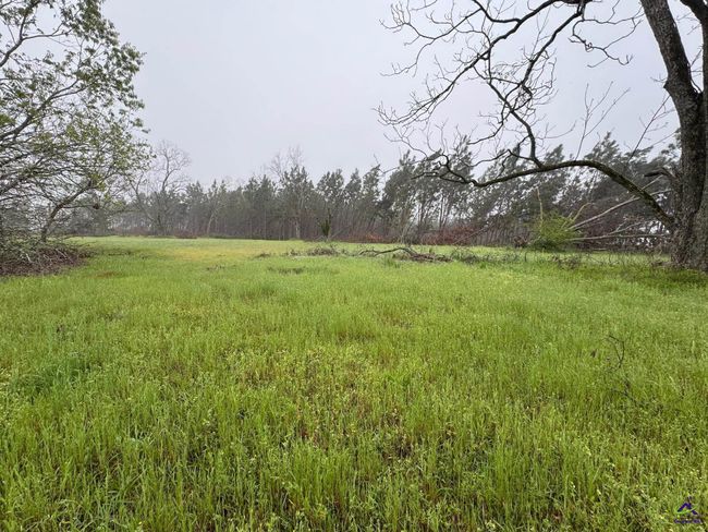0 Smyrna Road, Home with 0 bedrooms, 0 bathrooms and null parking in Uvalda GA | Image 9