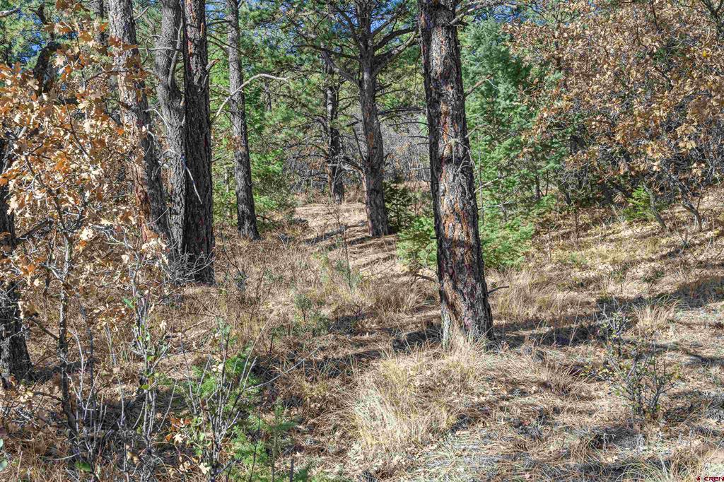 Land in Weston 5