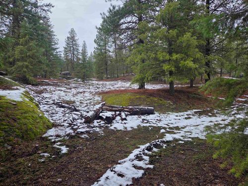 260 Slate Rd, Newport, WA, 99156-8400 | Card Image