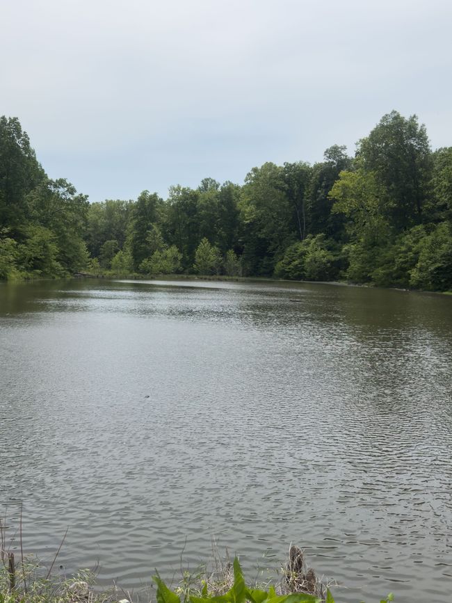 65 Deer Grass Ln, Home with 0 bedrooms, 0 bathrooms and null parking in Hurricane Mills TN | Image 13