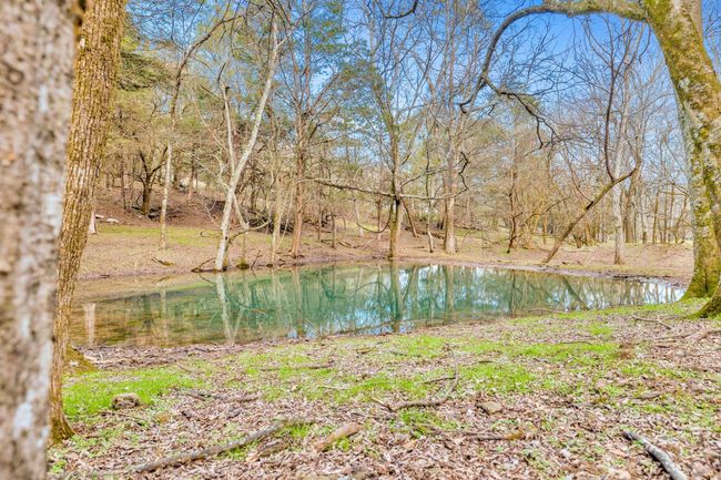 0 Fishing Ford Rd, Home with 0 bedrooms, 0 bathrooms and null parking in Belfast TN | Image 8