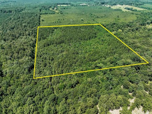 0000 Deal Rd, Monticello, AR, 71655 | Card Image