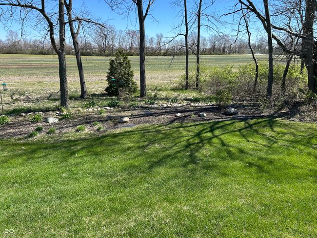 view of yard | Image 24