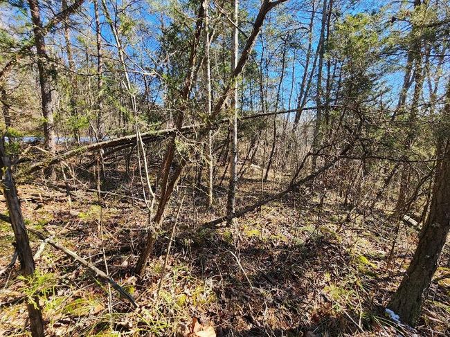 0 Raymond Dr, Home with 0 bedrooms, 0 bathrooms and null parking in Burnside KY | Image 10