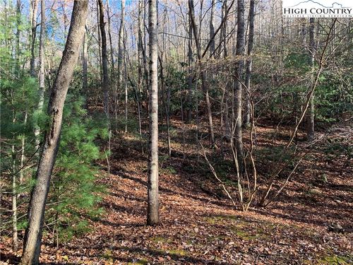 TBD (Lot 1) Dugger Firetower Rd, Lenoir, NC, 28645 | Card Image