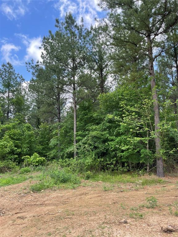 Land in Broken Bow