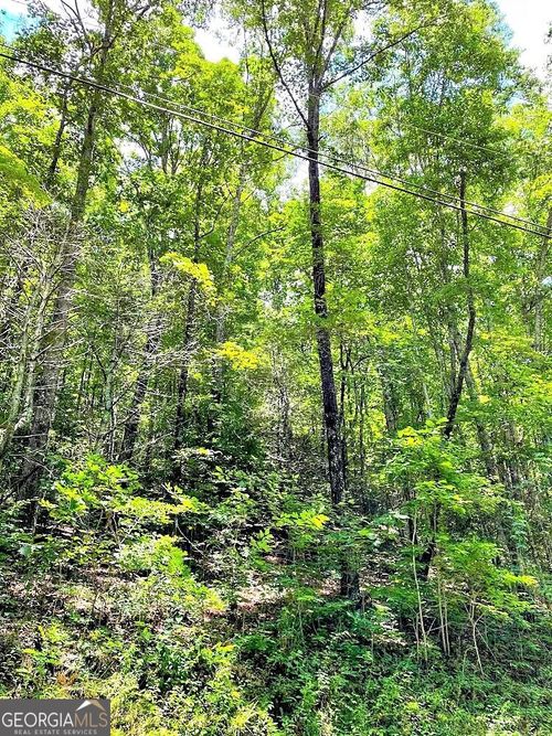 0 Blue Ridge Gap Rd, Rabun Gap, GA, 30568 | Card Image