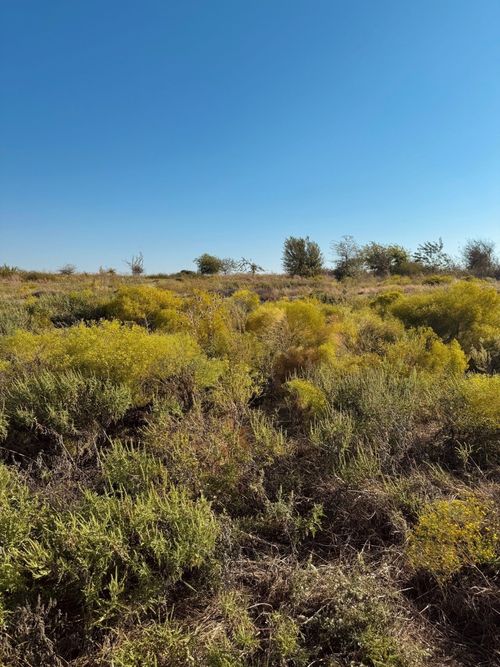 2812 Lucky Pepper Dr, Cresson, TX, 76035-3173 | Card Image