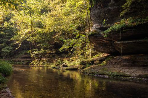 0 Old Mill Creek Rd, Nunnelly, TN, 37137 | Card Image