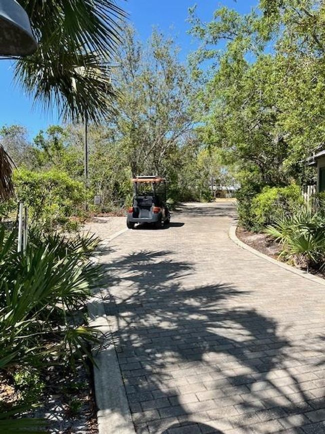 12190 Anchor Cove Dr, Home with 0 bedrooms, 0 bathrooms and null parking in Cedar Key FL | Image 5