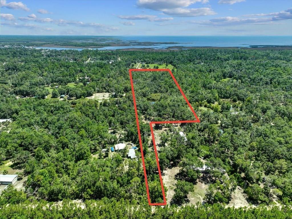Land in Steinhatchee