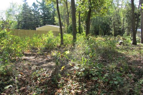 000 Lane 420 Jimmerson Lk, Fremont, IN, 46737 | Card Image