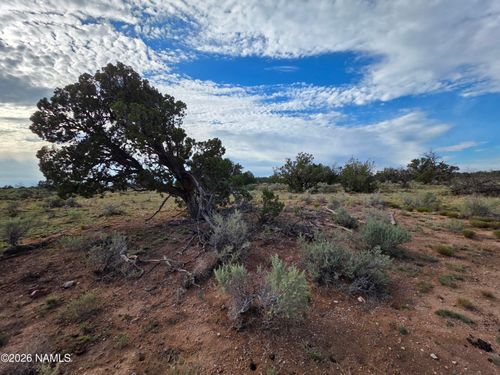 2097 Watchtower Pass, Williams, AZ, 86046 | Card Image