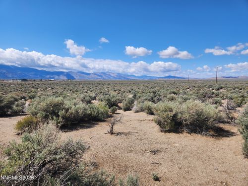 19 Acciari Rd, Smith, NV, 89430-9421 | Card Image