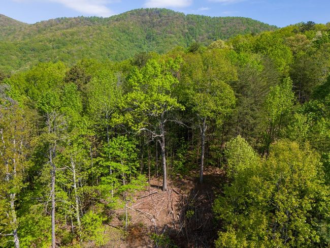 Lot 73 Mountain View Rd, Home with 0 bedrooms, 0 bathrooms and null parking in Ellijay GA | Image 9