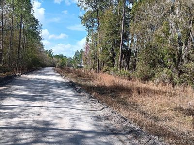 0 Sw 137 Th Street, Home with 0 bedrooms, 0 bathrooms and null parking in Waldo FL | Image 2