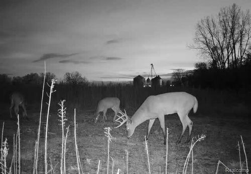 V/L Stewart, Elba Township, MI, 48446 | Card Image