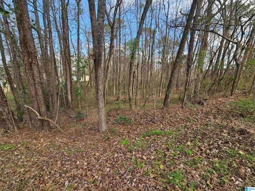 42-and-43-0 Moss Hill Ln, PELL CITY, AL, 35128 | Card Image