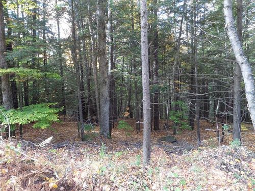 0 Thayer Hill Rd, Worthington, MA, 01098 | Card Image