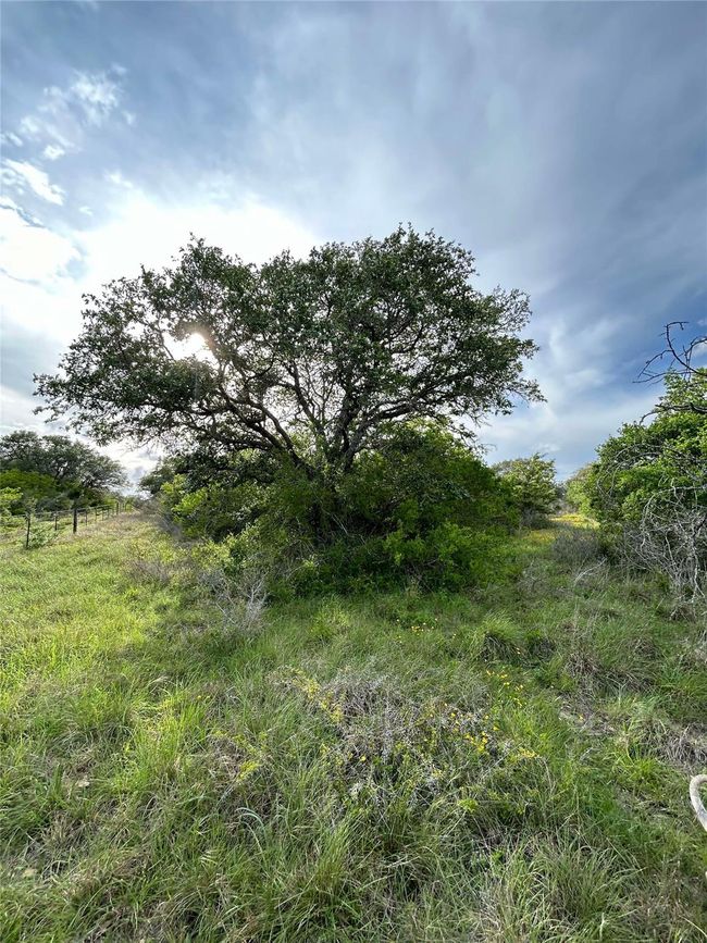 4025 Oil Field Rd, Home with 1 bedrooms, 1 bathrooms and null parking in Goliad TX | Image 17