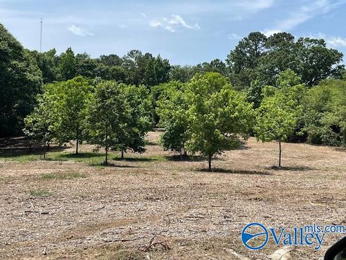 1021 County Road 1242, Vinemont, AL, 35179-8303 | Card Image