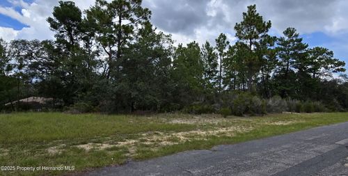 2899 W Santana Dr, Citrus Springs, FL, 34433-3357 | Card Image