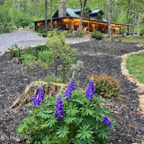 480 Holder Cemetery Rd, Tellico Plains, TN, 37385-6907 | Card Image