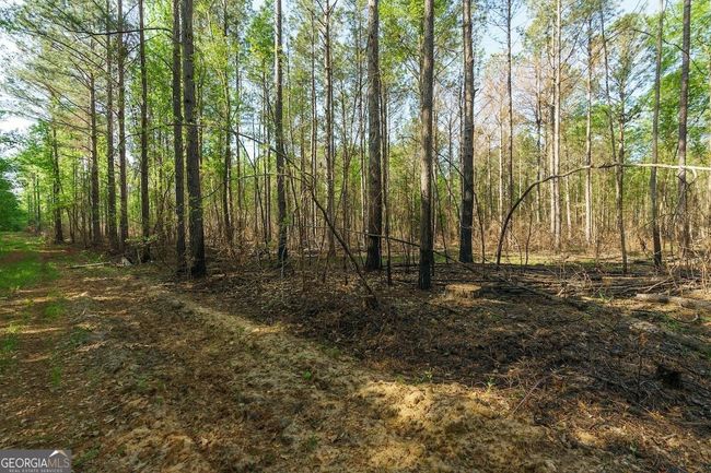 6053 Sun Hill Grange Rd, Home with 0 bedrooms, 0 bathrooms and null parking in Davisboro GA | Image 14