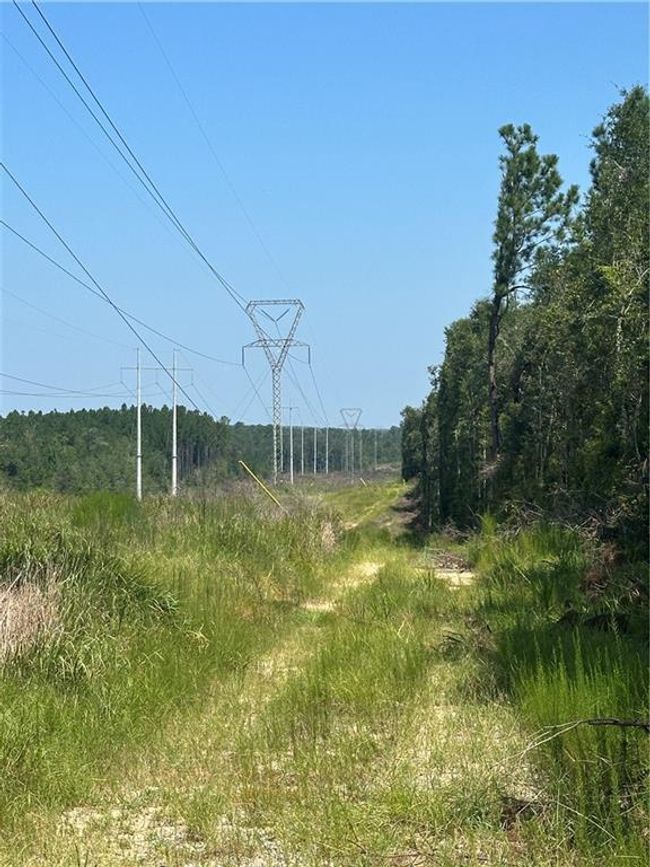 View of landscape | Image 5