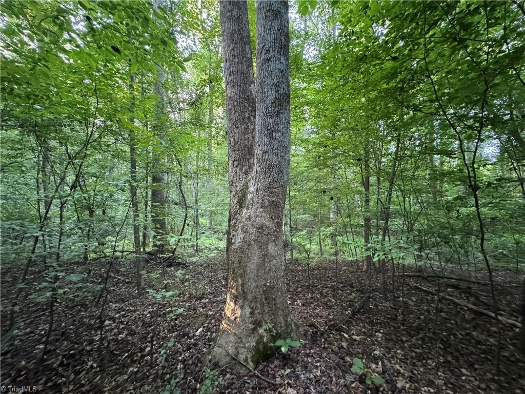 Land in Reidsville 3