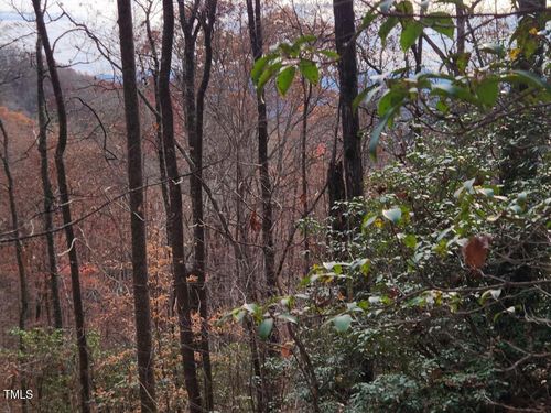 0 Bear Cove Cir, Bryson City, NC, 28713 | Card Image