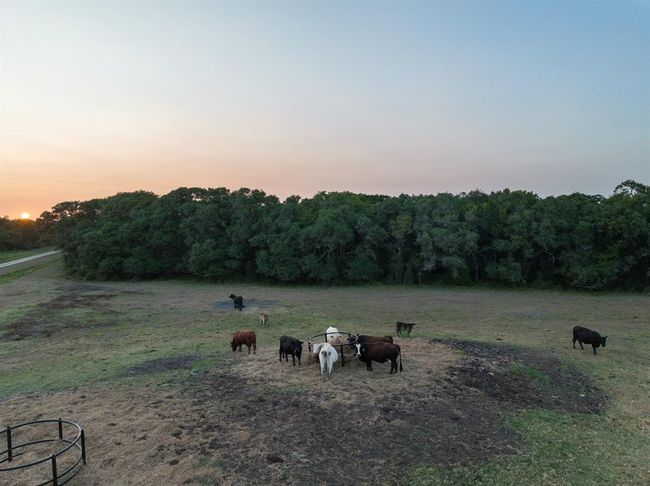 The owners run a small cow calf operation. The front pasture is approximately 35 acres. | Image 48