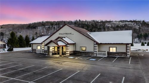 29 Fisher Settlement Rd, Spencer, NY, 14883-9577 | Card Image