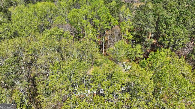 2444 Marion Ivie Rd, House other with 4 bedrooms, 4 bathrooms and null parking in Good Hope GA | Image 61