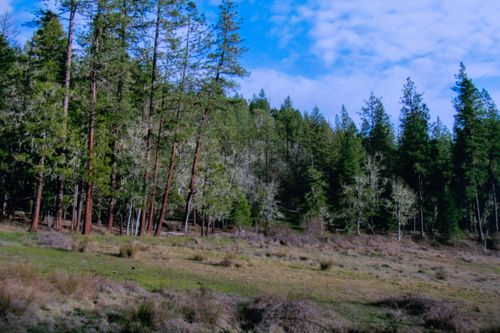 0 Cobleigh Road, Butte Falls, OR, 97522 | Card Image