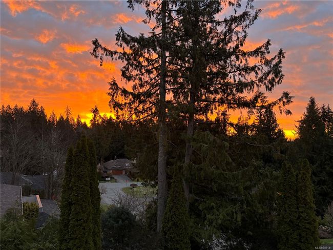 Seller's beautiful sunrise photo!! | Image 38