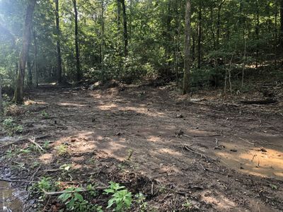 0 Murphy Hollow Road   Tract 1, Home with 0 bedrooms, 0 bathrooms and null parking in Vanleer TN | Image 2