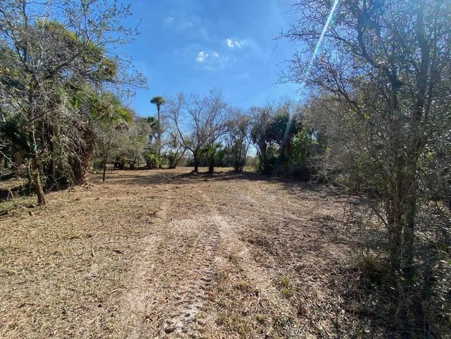 15936 306 Th St, Home with 0 bedrooms, 0 bathrooms and null parking in Okeechobee FL | Image 5