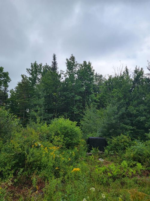 1530 Somerset Rd, Wilmington, VT, 05363-9903 | Card Image