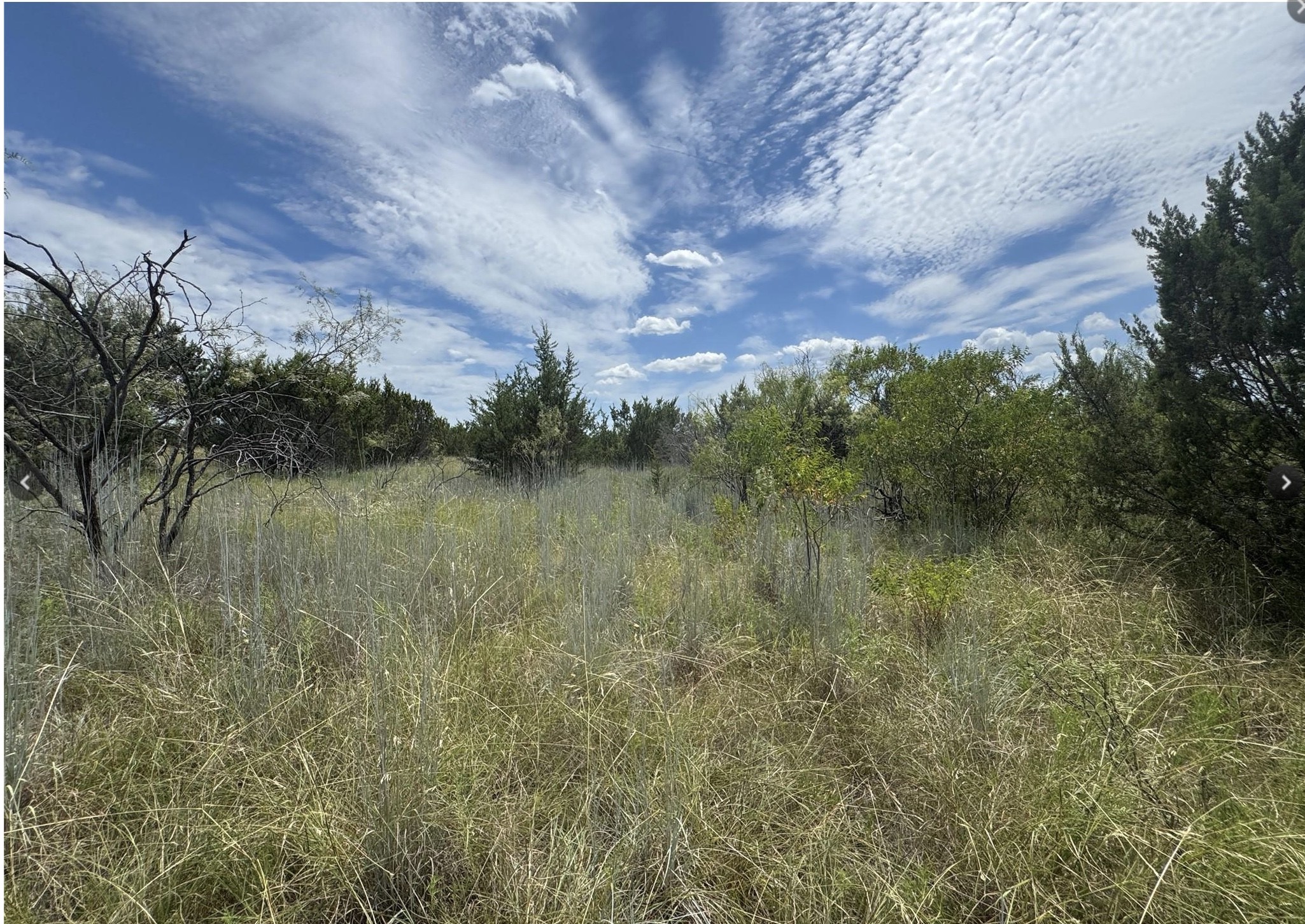 Land in Lipan 4