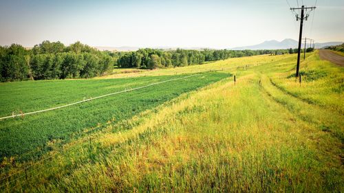 NHN Shields River Rd, Wilsall, MT, 59086 | Card Image