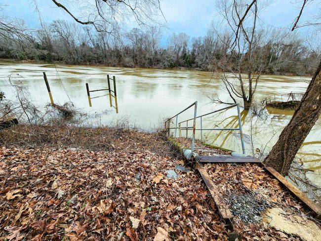 868 River Bend Cv, House other with 3 bedrooms, 2 bathrooms and null parking in El Dorado AR | Image 34
