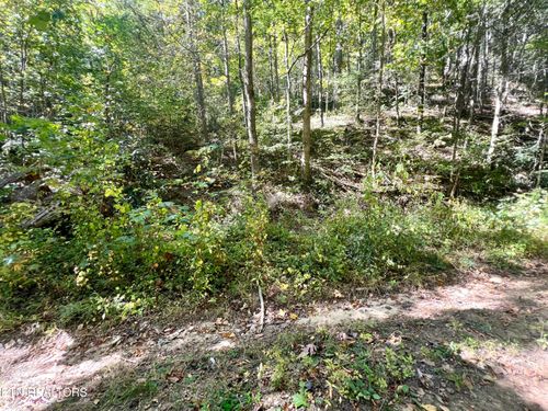 40 Lin Creek Rd, Sevierville, TN, 37876 | Card Image