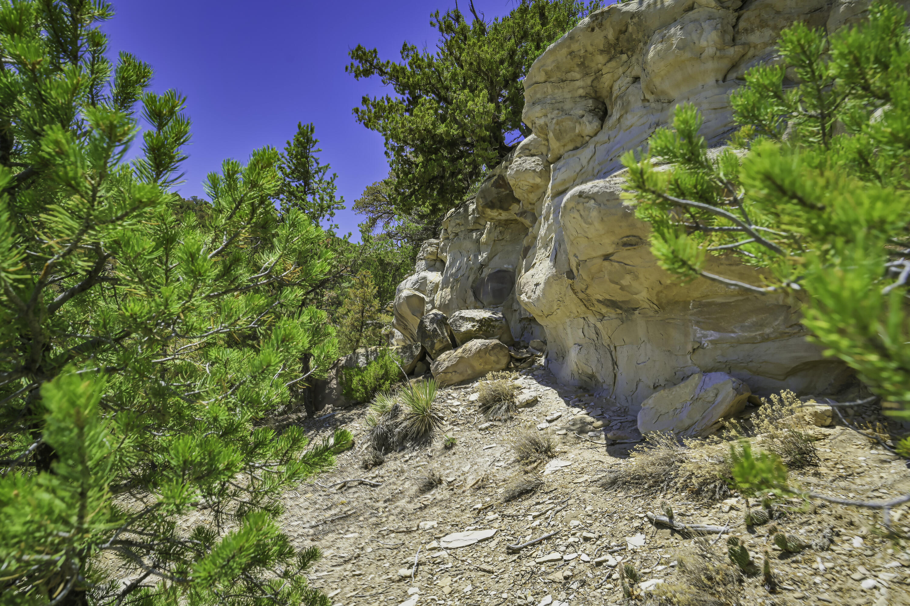 Land in Aguilar 5