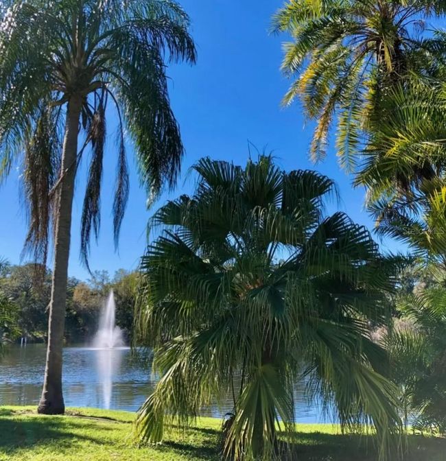 50A - 2722 11 Th Ct, Condo with 2 bedrooms, 3 bathrooms and null parking in PALM HARBOR FL | Image 35