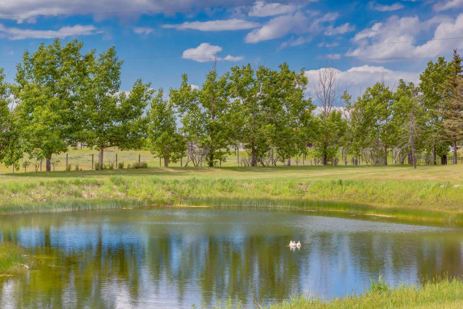 Residential in Rural Rocky View County 2