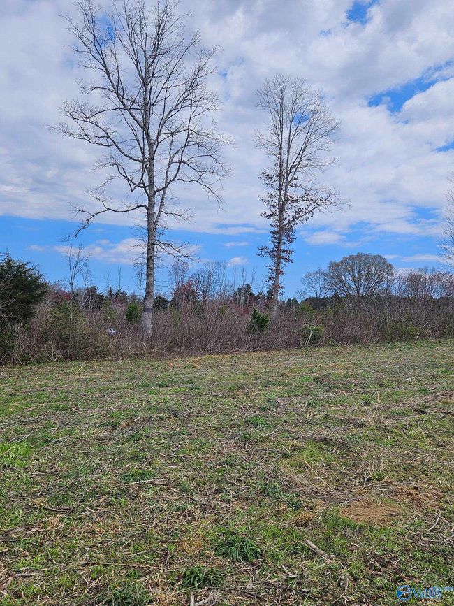 13.5 Acres County Road 687, Home with 0 bedrooms, 0 bathrooms and null parking in Henagar AL | Image 5