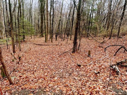 14 Fyler Rd, East Hartland, CT, 06027-1108 | Card Image